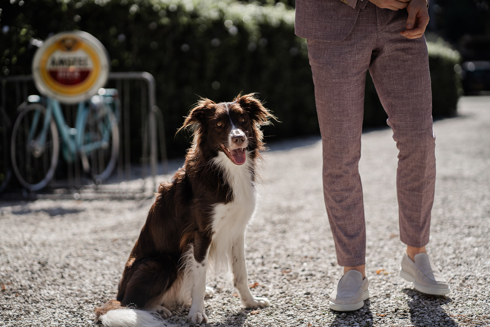 De hond van het bruidspaar is er ook bij